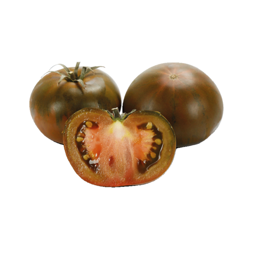 Tomaten Primora