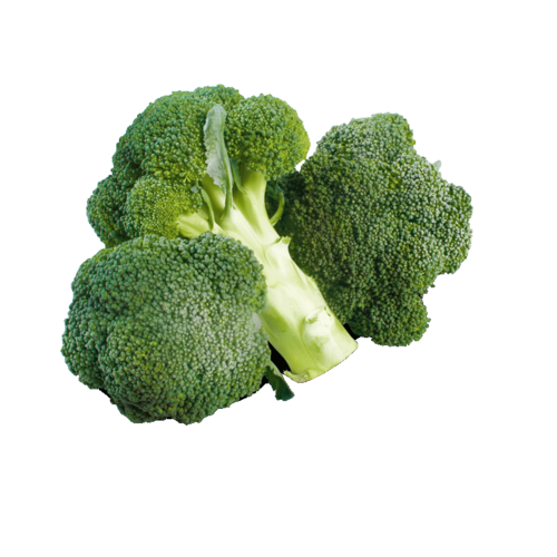 Broccoli