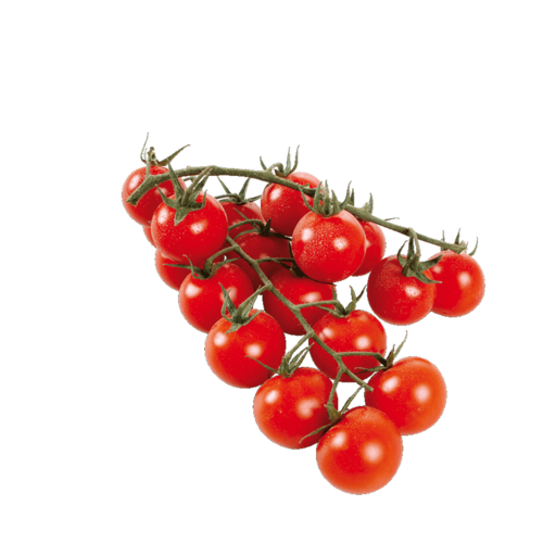 Tomaten Cherry-Rispen