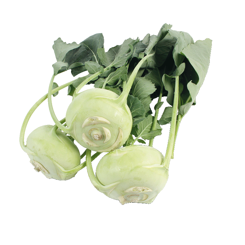 Kohlrabi