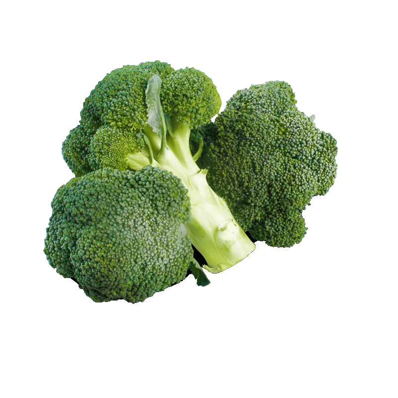 Broccoli