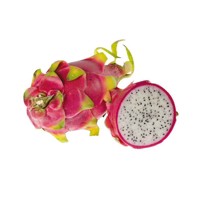 Pitahaya rot