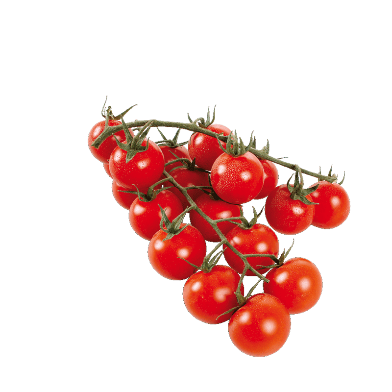 Tomaten Cherry-Rispen